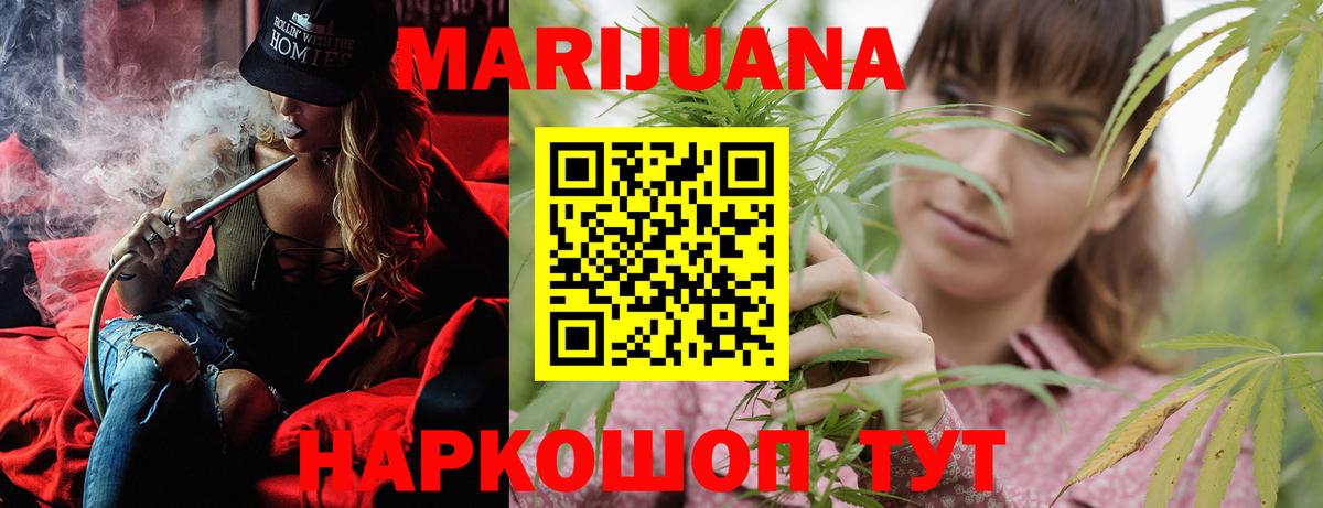 Каннабис SATIVA & INDICA Кохма