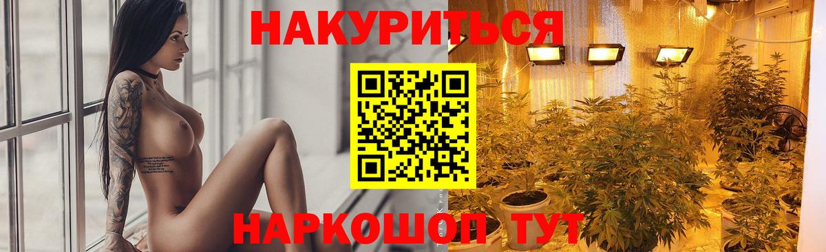 Бошки Шишки семена  Вход с VPN  Кохма  Каннабис конопля  Канабис план 